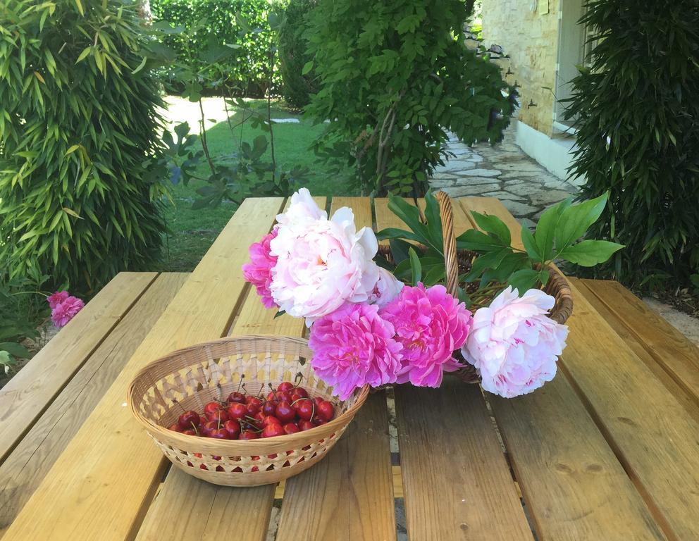 Bed and Breakfast Le Balcon Des Jasses Espere Exterior foto