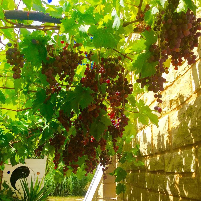 Bed and Breakfast Le Balcon Des Jasses Espere Exterior foto